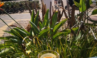 LTG_Coffee View 01